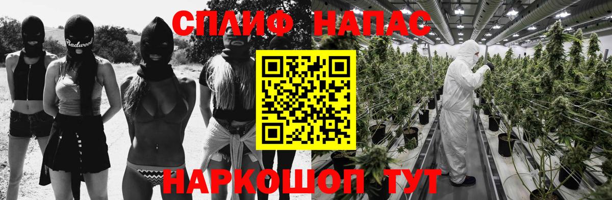 Бошки Шишки MAZAR  Марихуана VHQ  Видное  Вход с VPN 